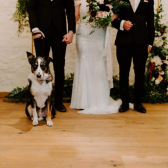 Dog friendly weddings