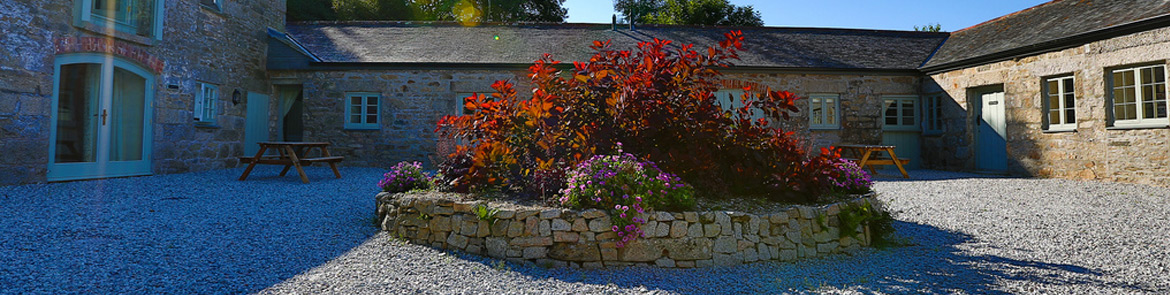 dog friendly holiday cottages in Cornwall