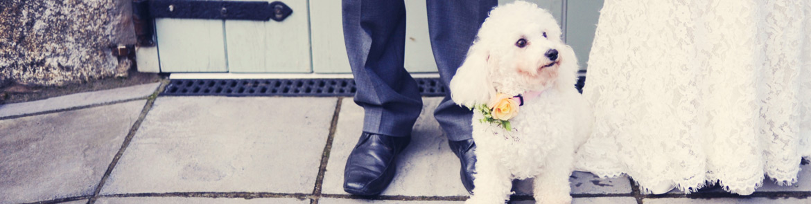 Cosawes Barton dog friendly weddings in Cornwall